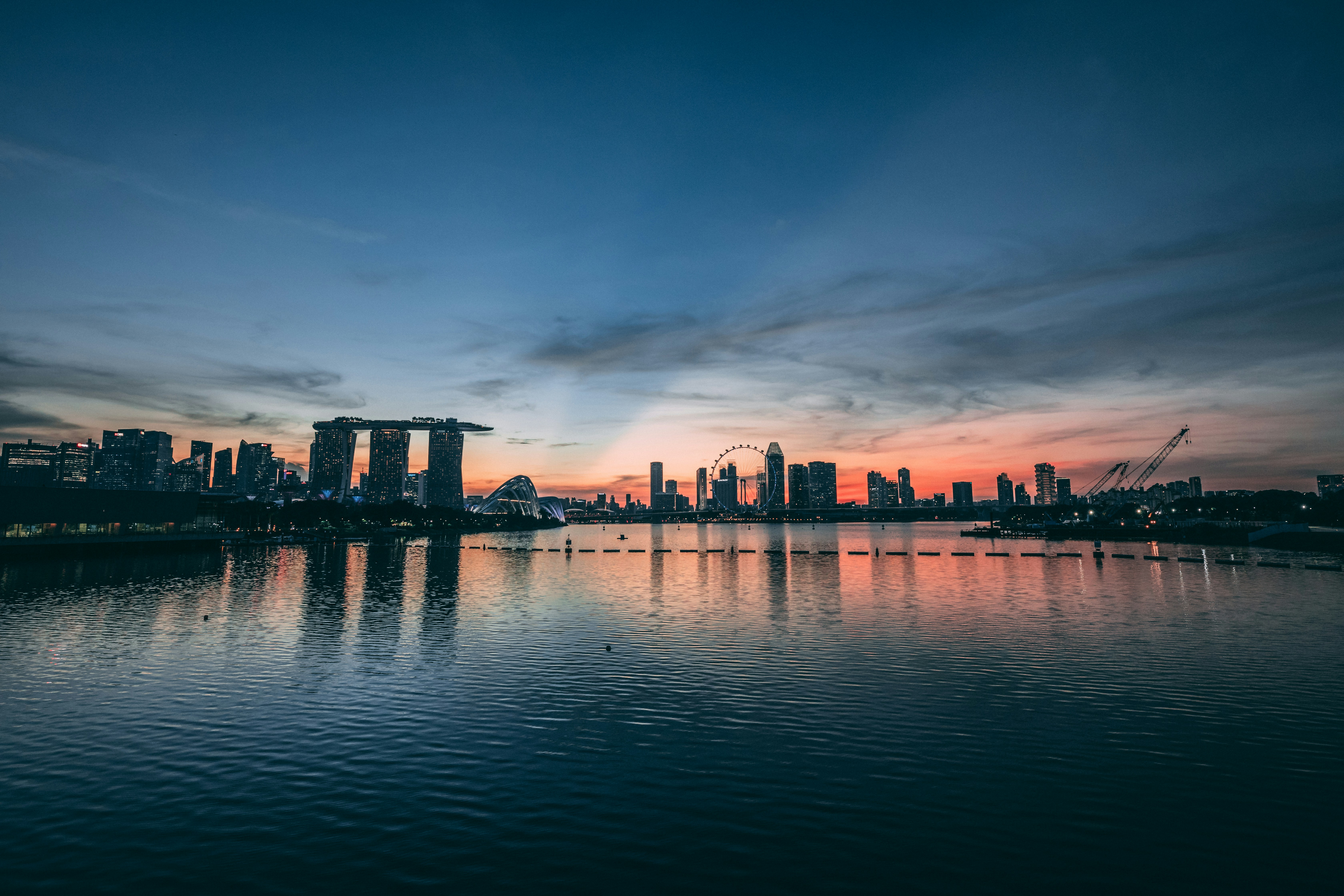 Photo by zhuzhutrain