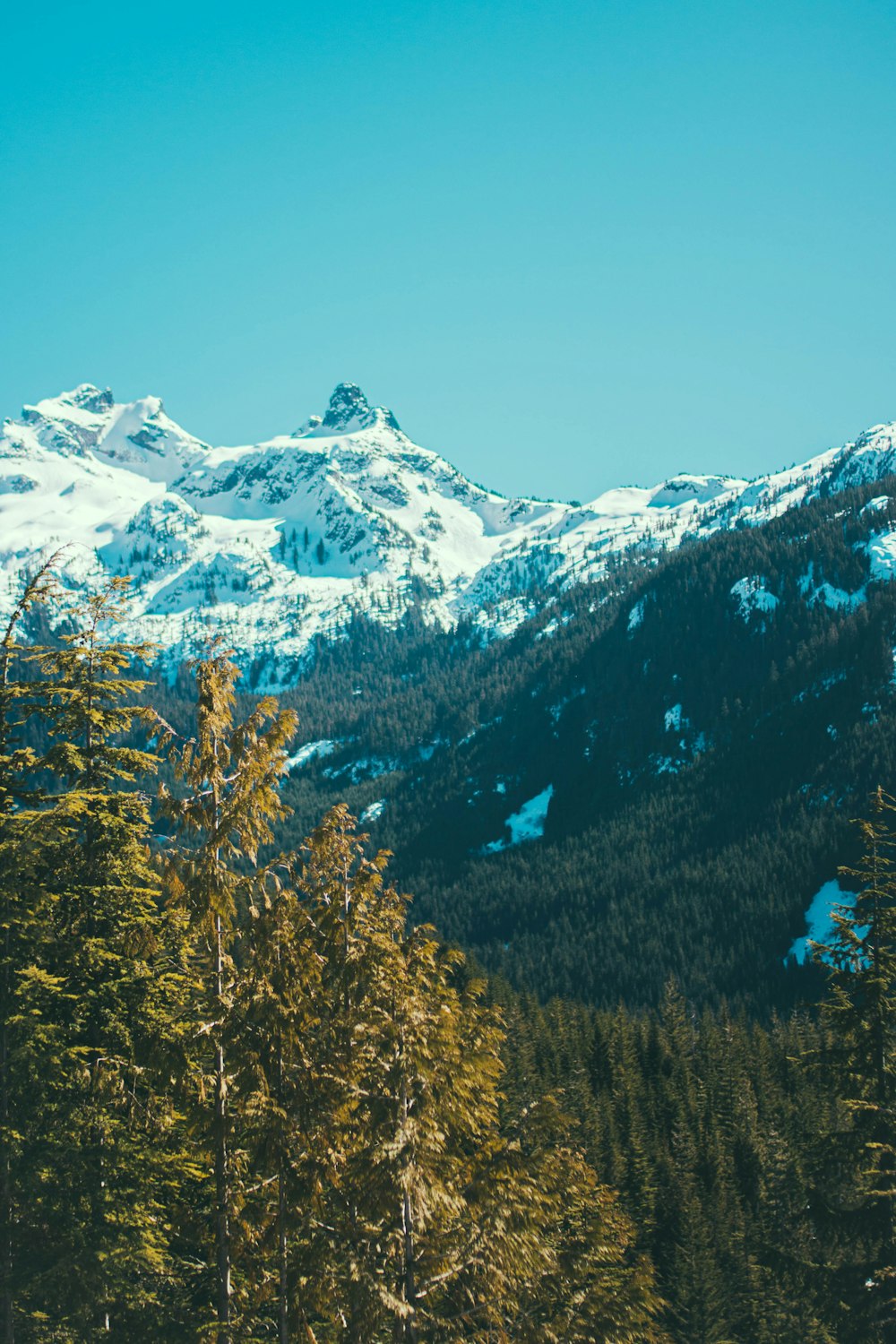 snow covered mountain