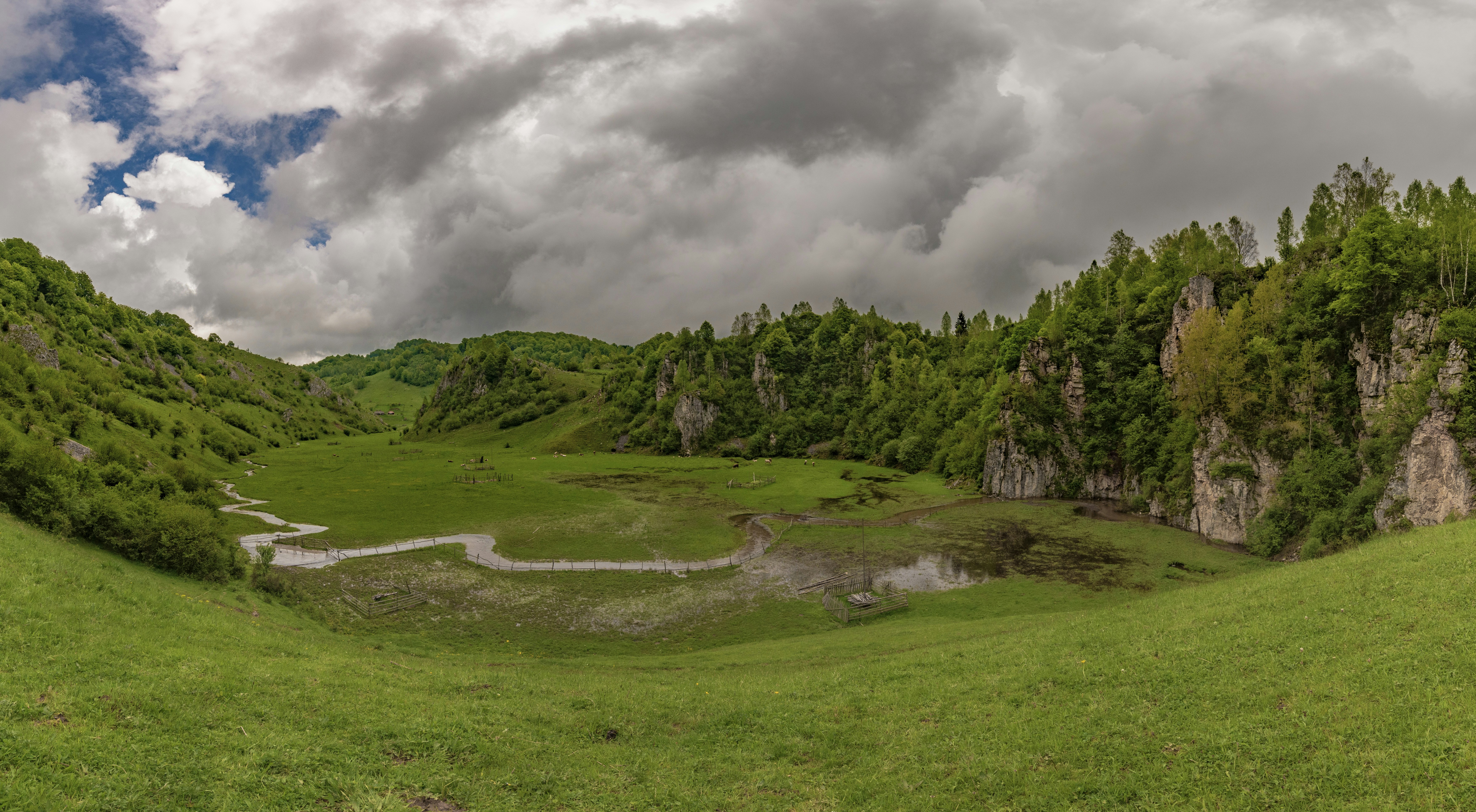 green open field surrounded with trees under white and gray skies