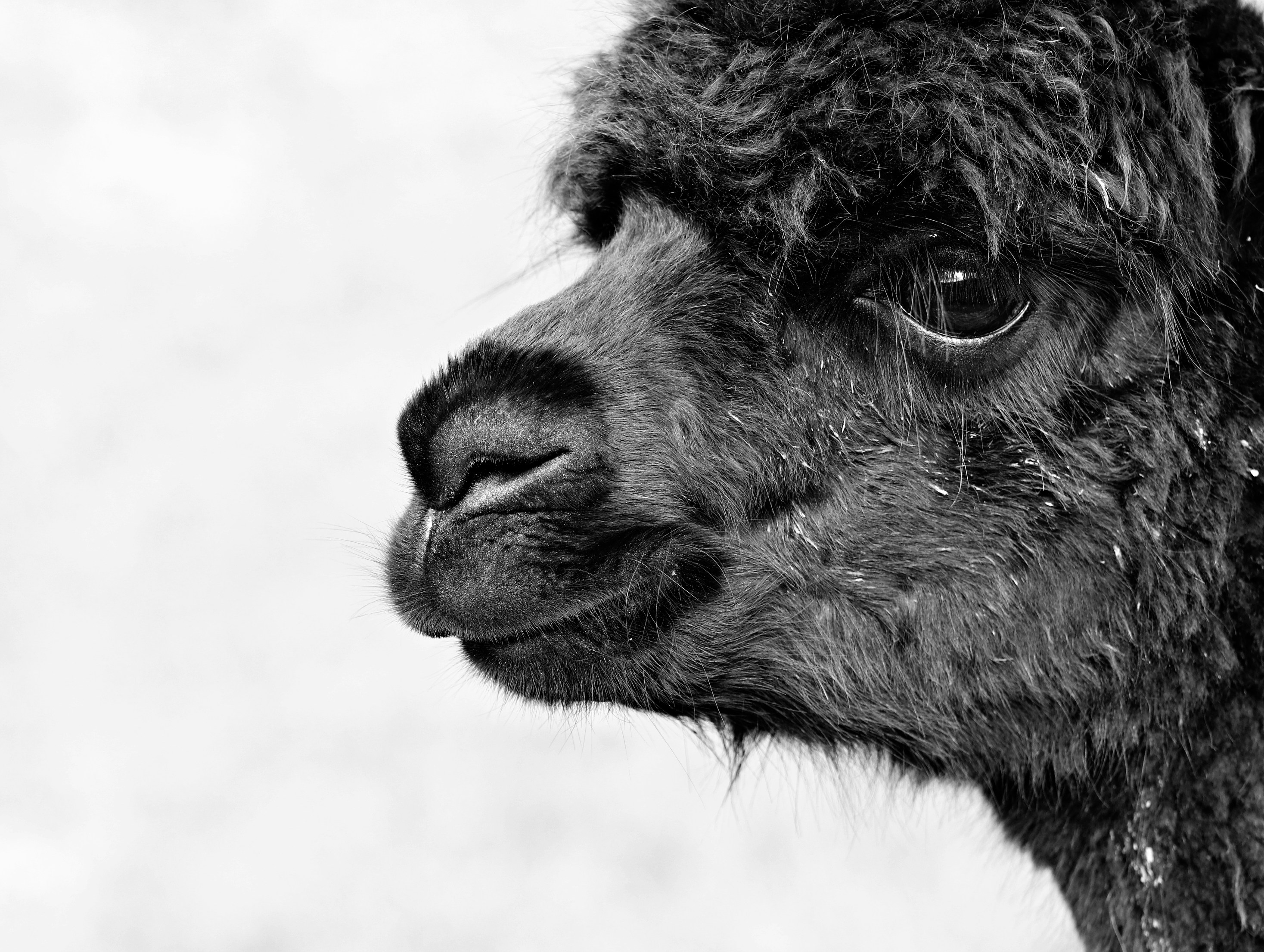 Photo by hayleymaxwell