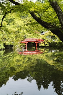 red bridge over body of water near treees