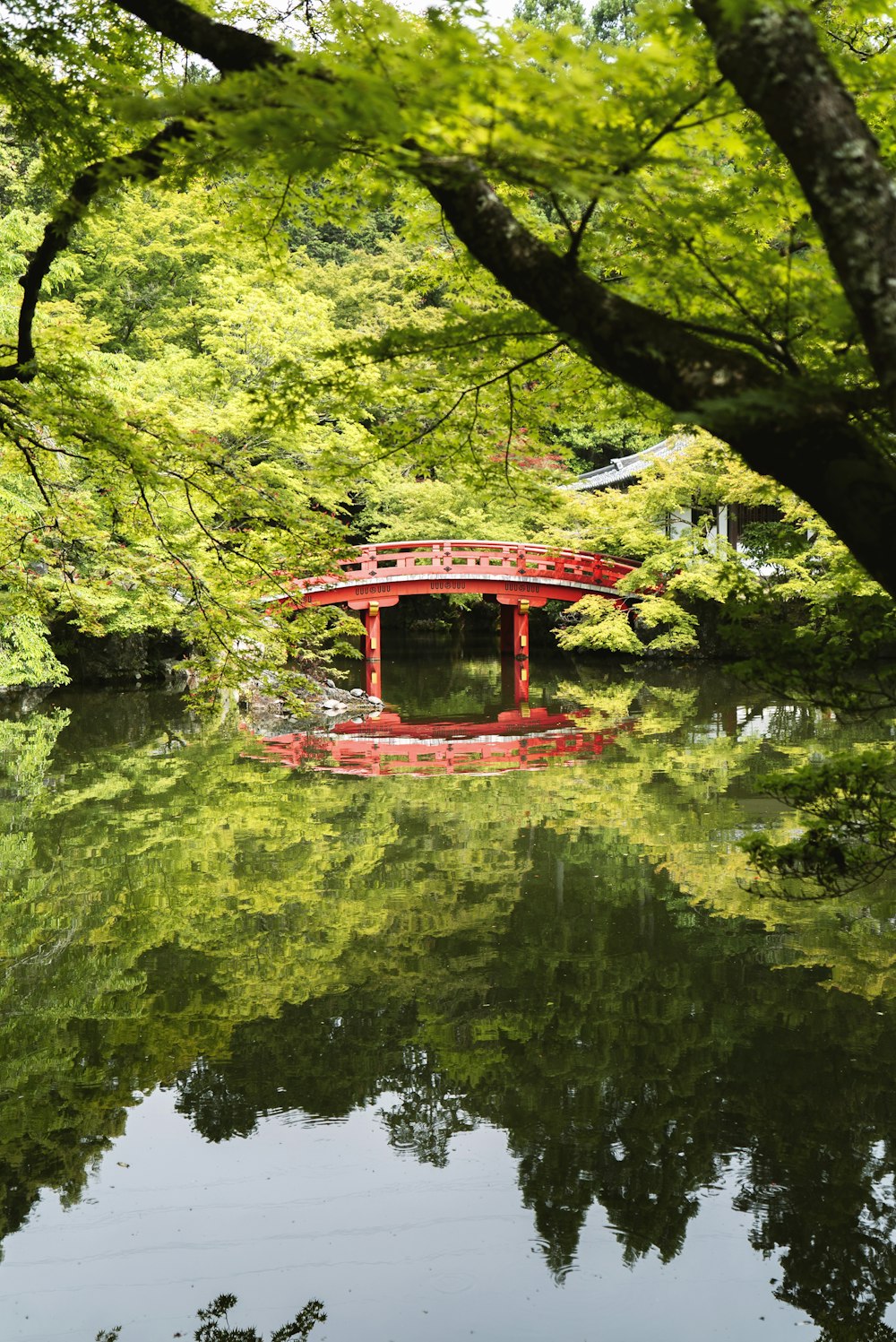 red bridge over body of water near treees