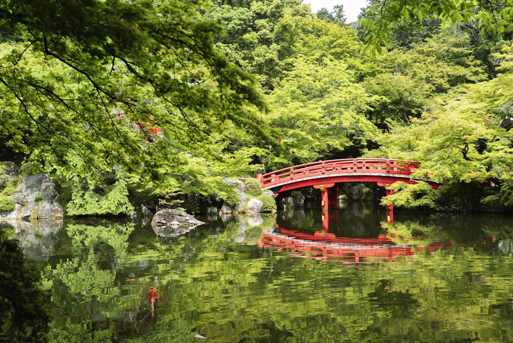 red bridge surrounded by trees at daytime