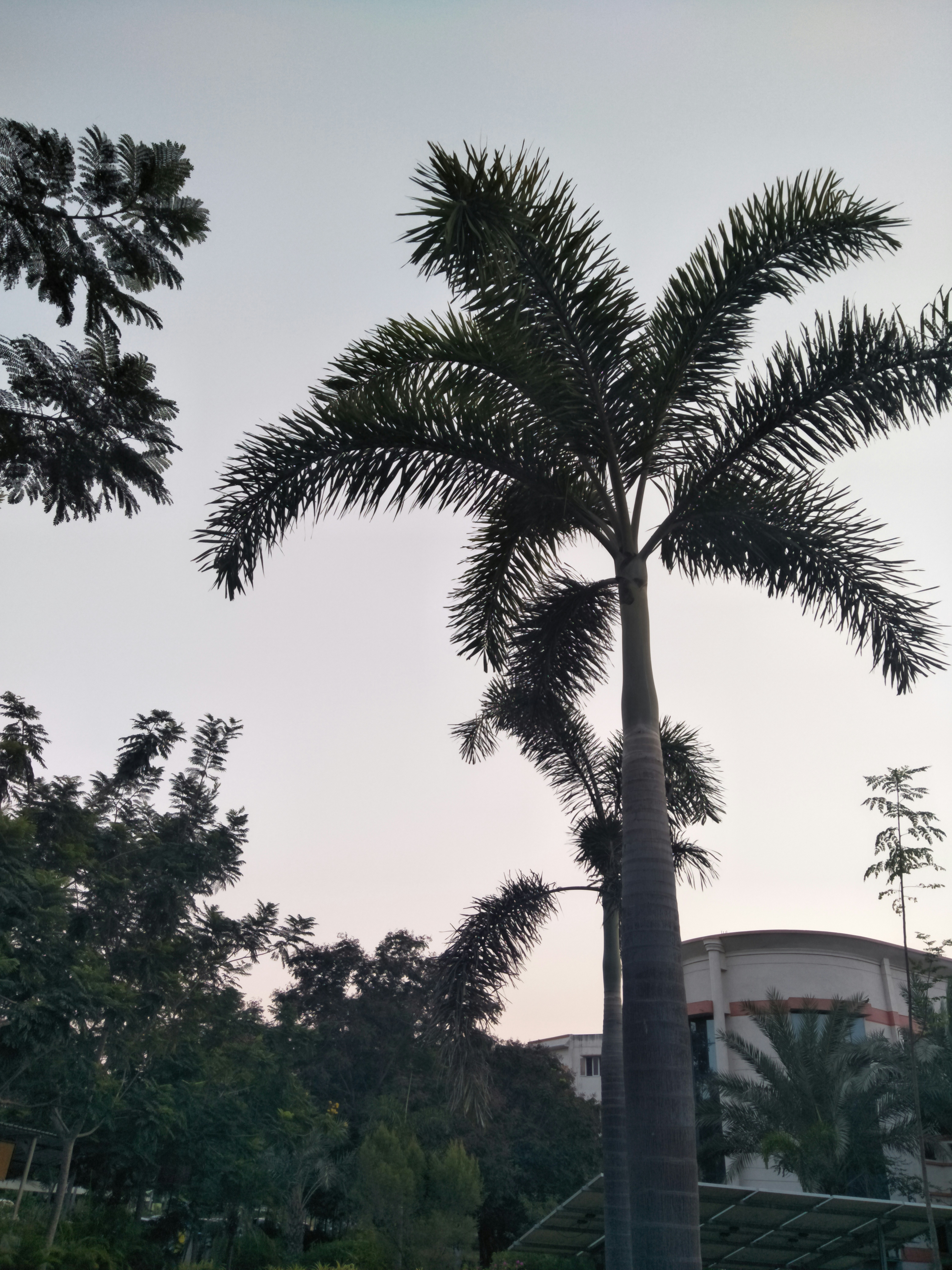 Photo by nikhilshahu999