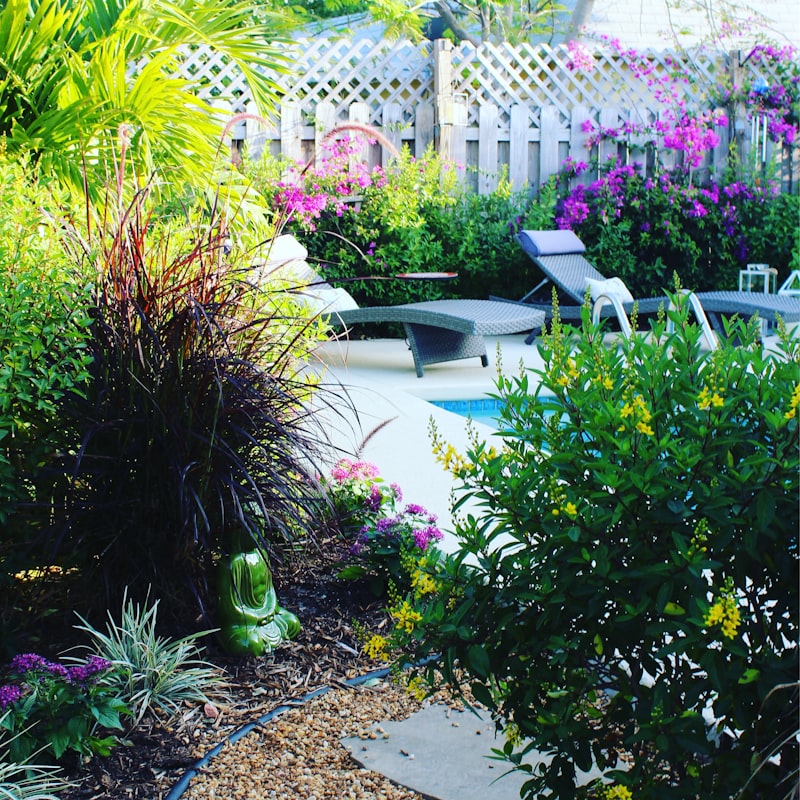 Transform Your DFW Backyard into a Serene Oasis Amidst the Texas Heat