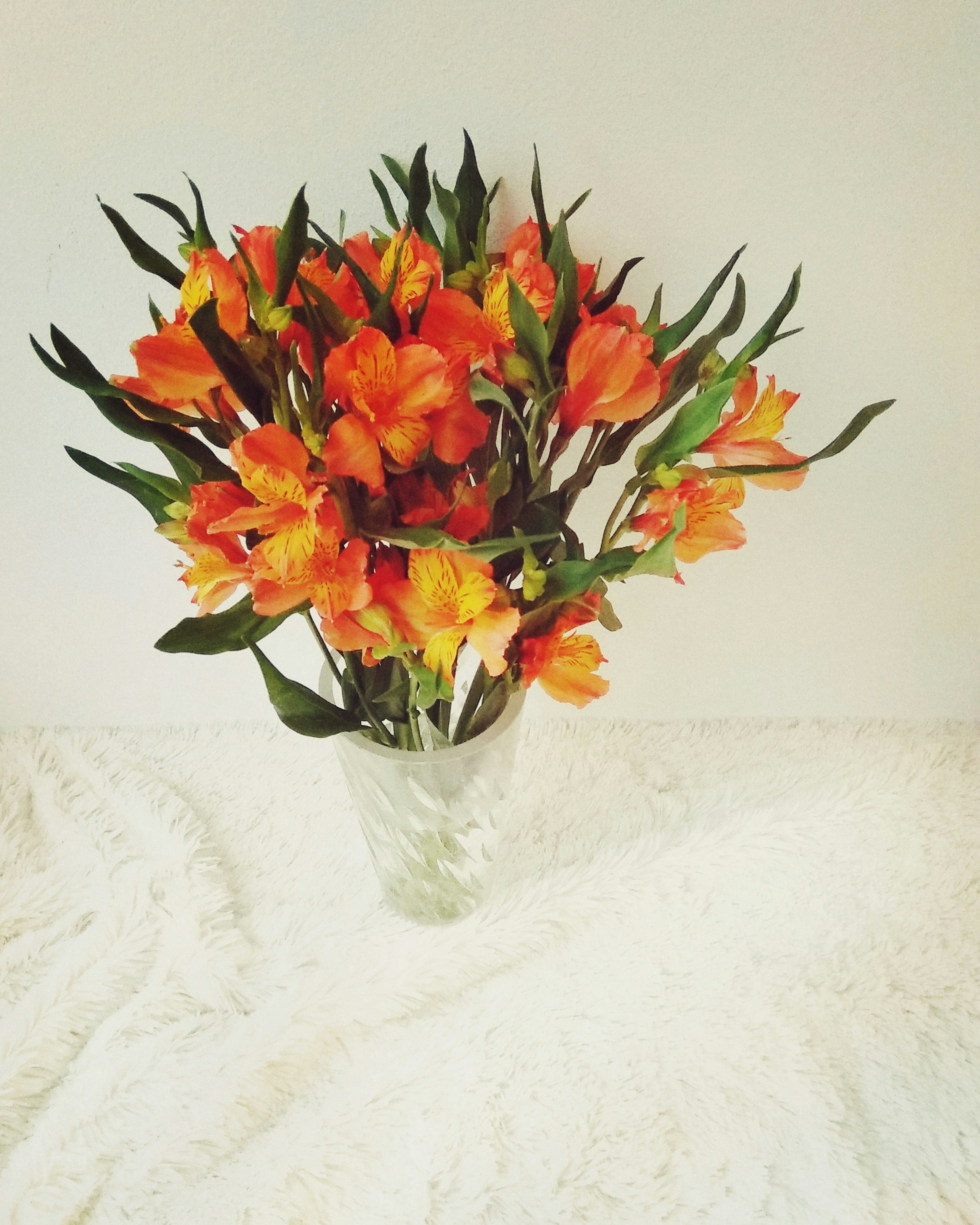 orange and yellow petaled flower