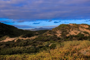 A scenic landscape with rolling sand dunes covered in scattered green vegetation. A vast sky with patches of clouds is visible, and distant hills can be seen on the horizon. The foreground features various grass and shrubbery, creating a natural and serene atmosphere.