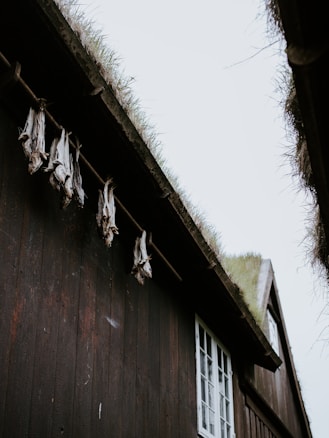 A rustic building with a weathered wooden exterior and a green grass roof. Several dried fish hang from a rod along the side of the building. The image captures an overcast sky and simplistic architectural elements with a natural touch.