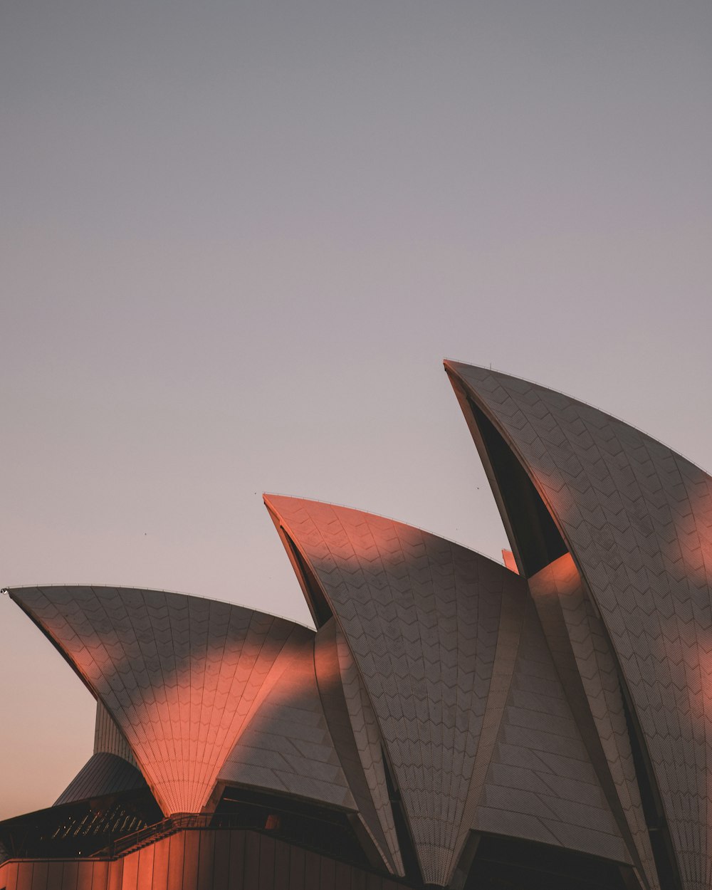 Sydney Opera under gray sky during daytime