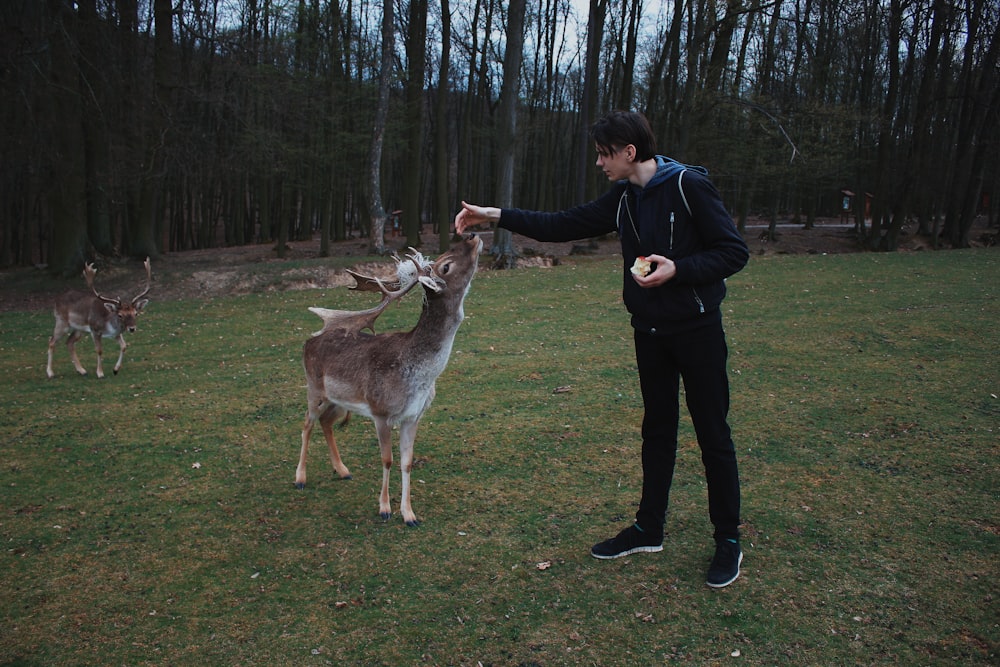 man standing beside deer