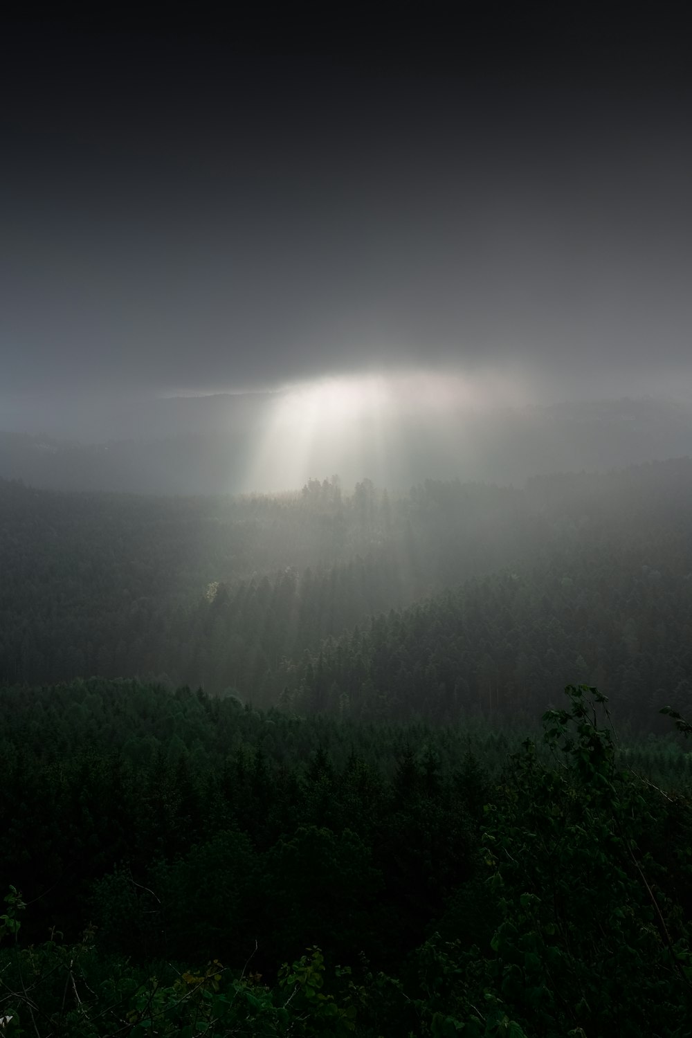 the sun shines through the clouds over a forest