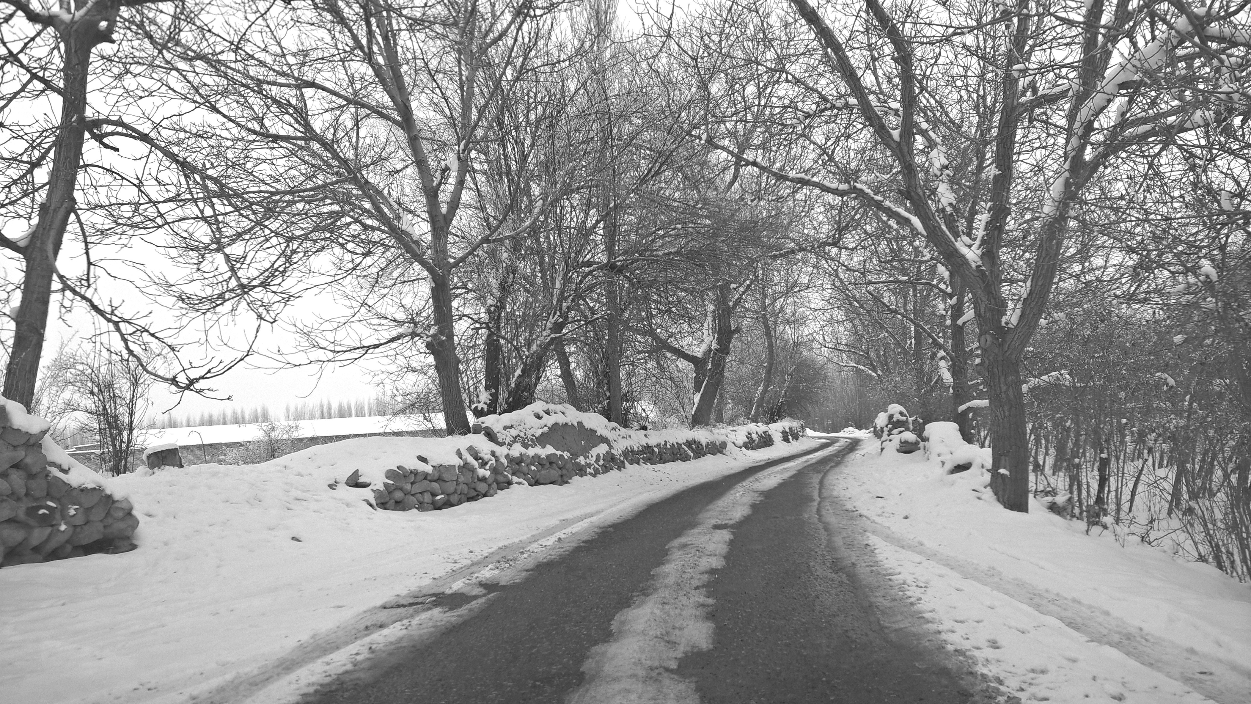 Photo by mahdishakhesi