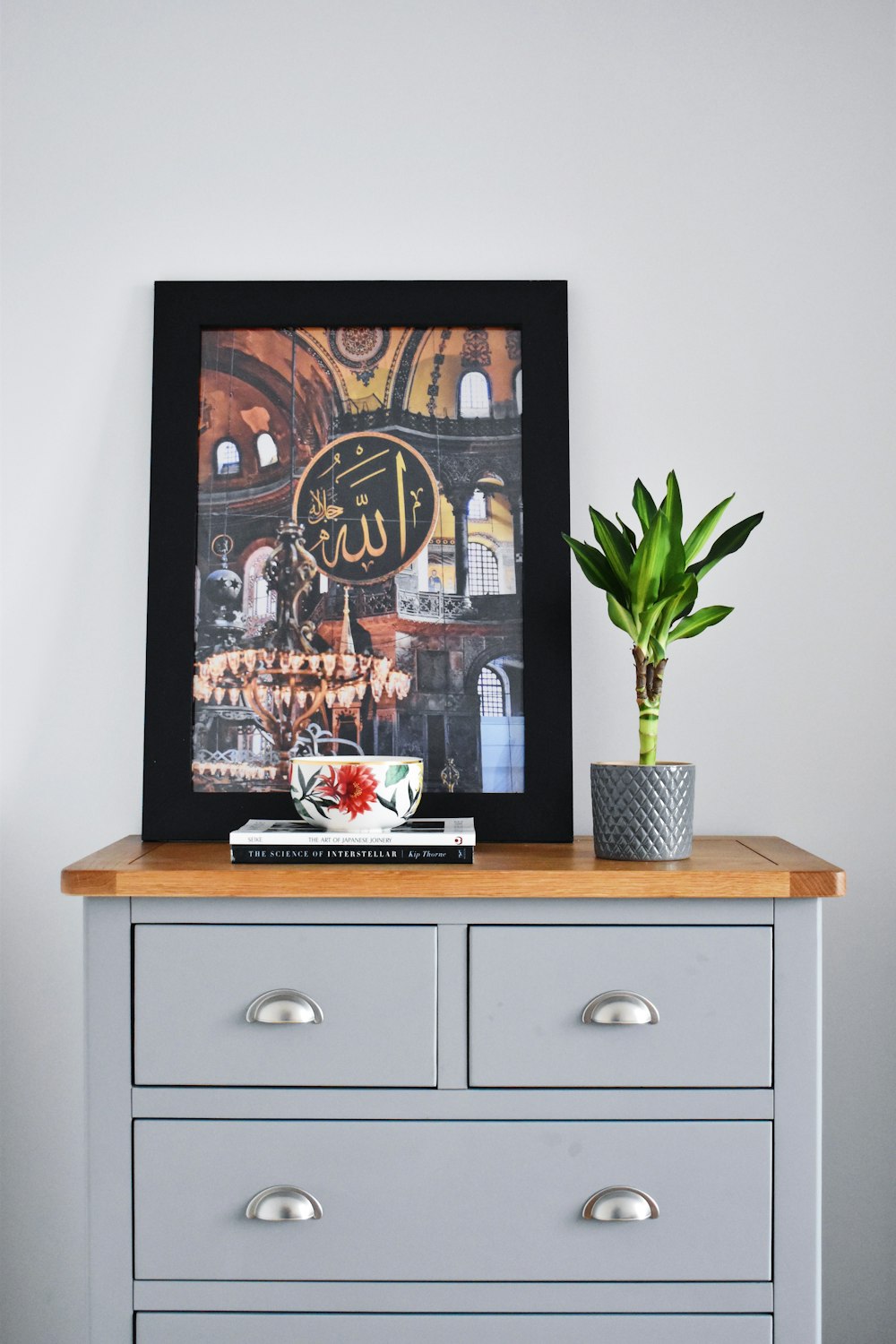framed photo on wooden dresser with potted plant