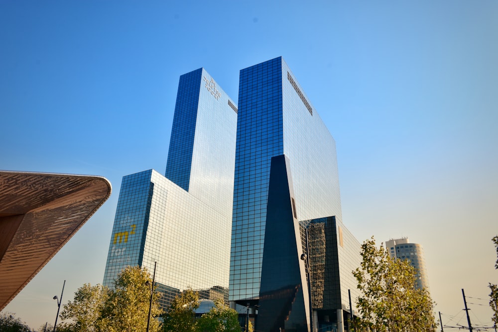 glass walled high-rise buildings near green trees under blue skies