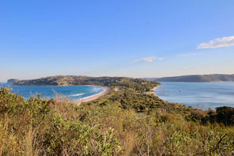 ocean view during daytime