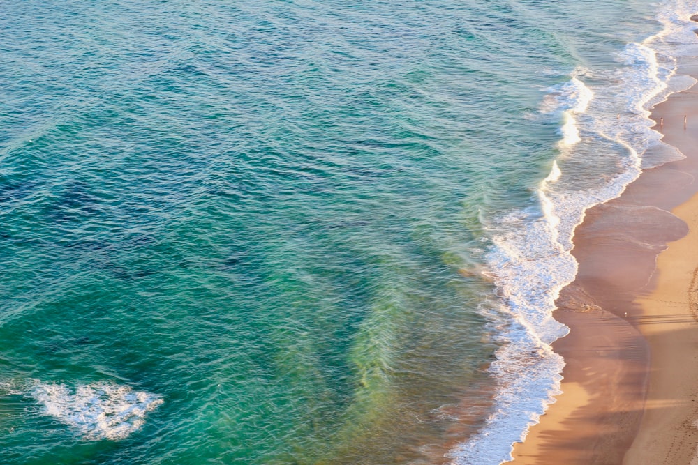 aerial photography of seashore