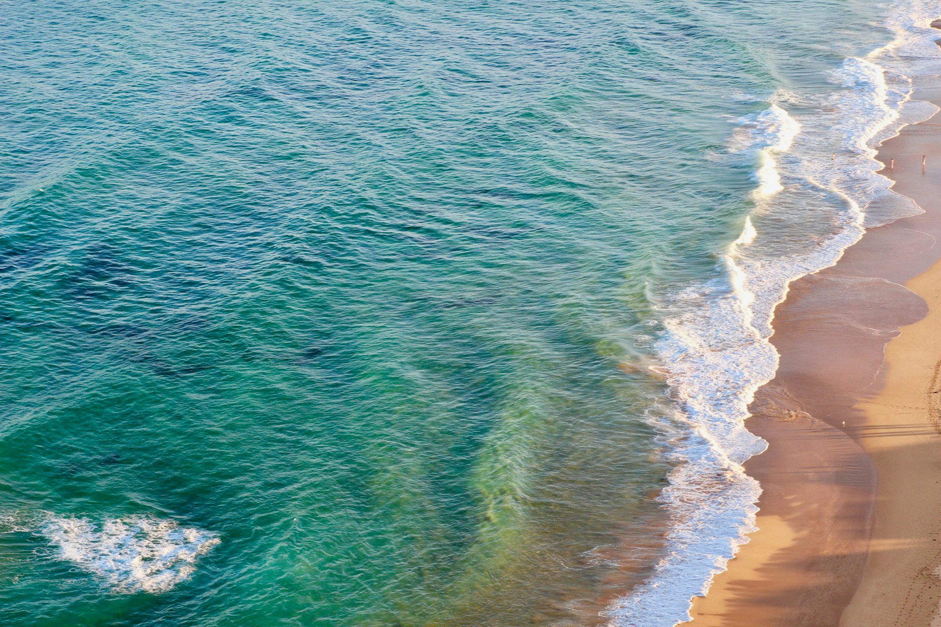 aerial photography of seashore