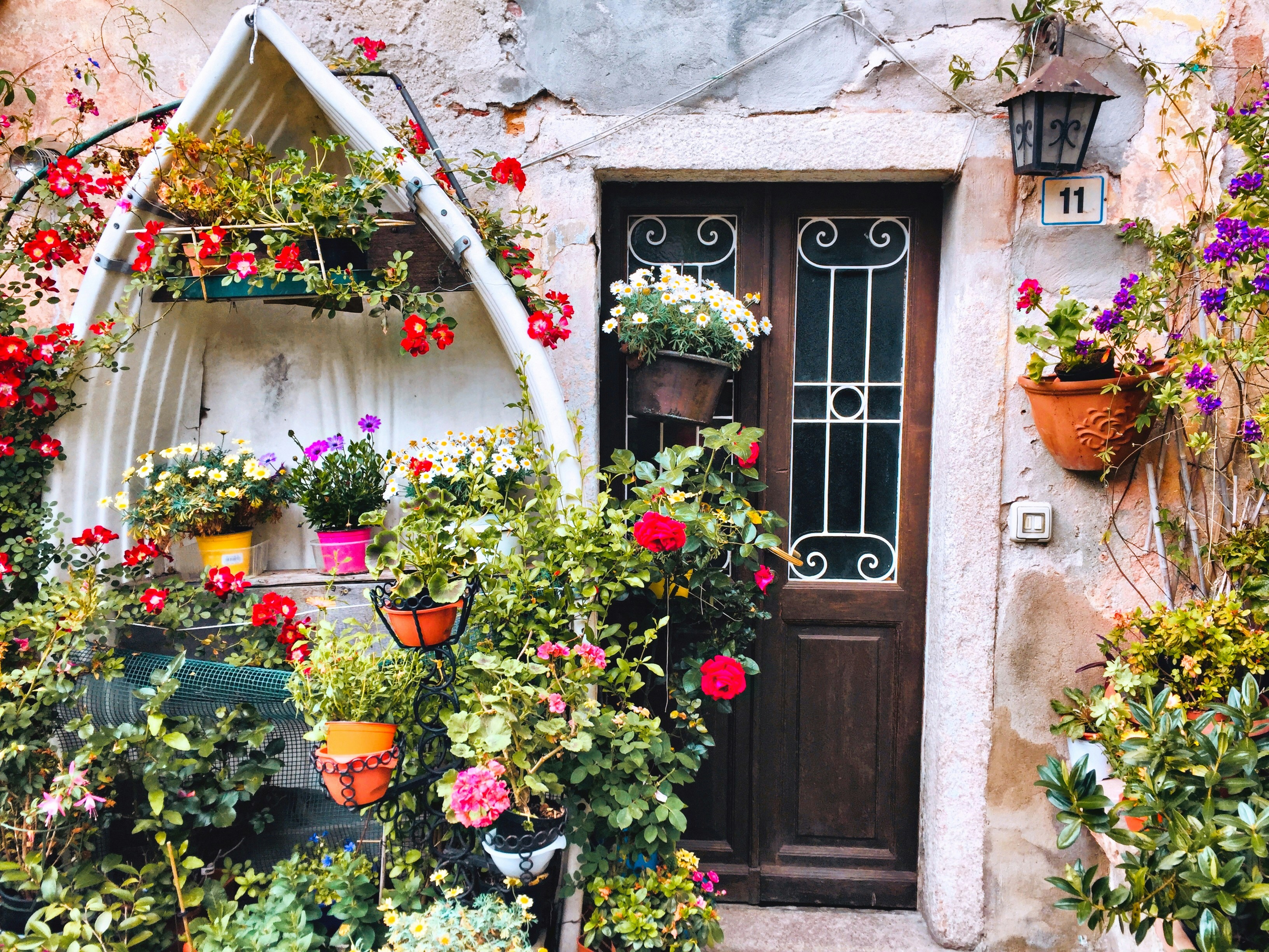 closed brown wooden door, 