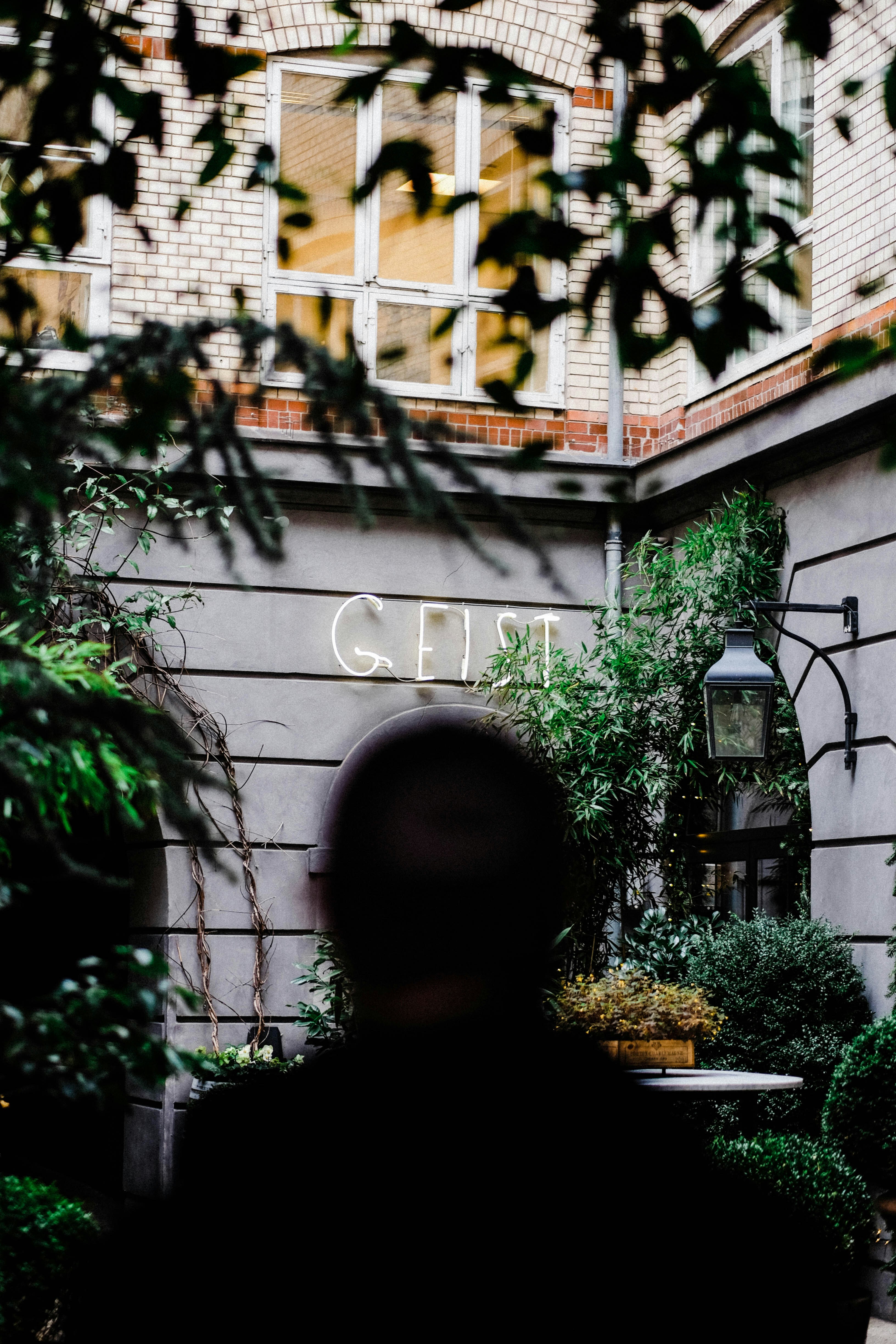 Mann steht in der Nähe eines Baumes