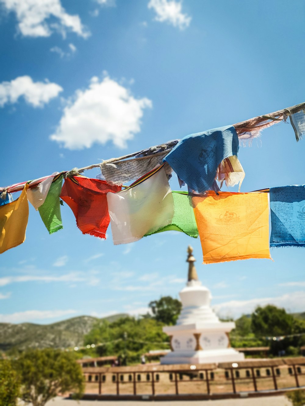 buntings under blue sky