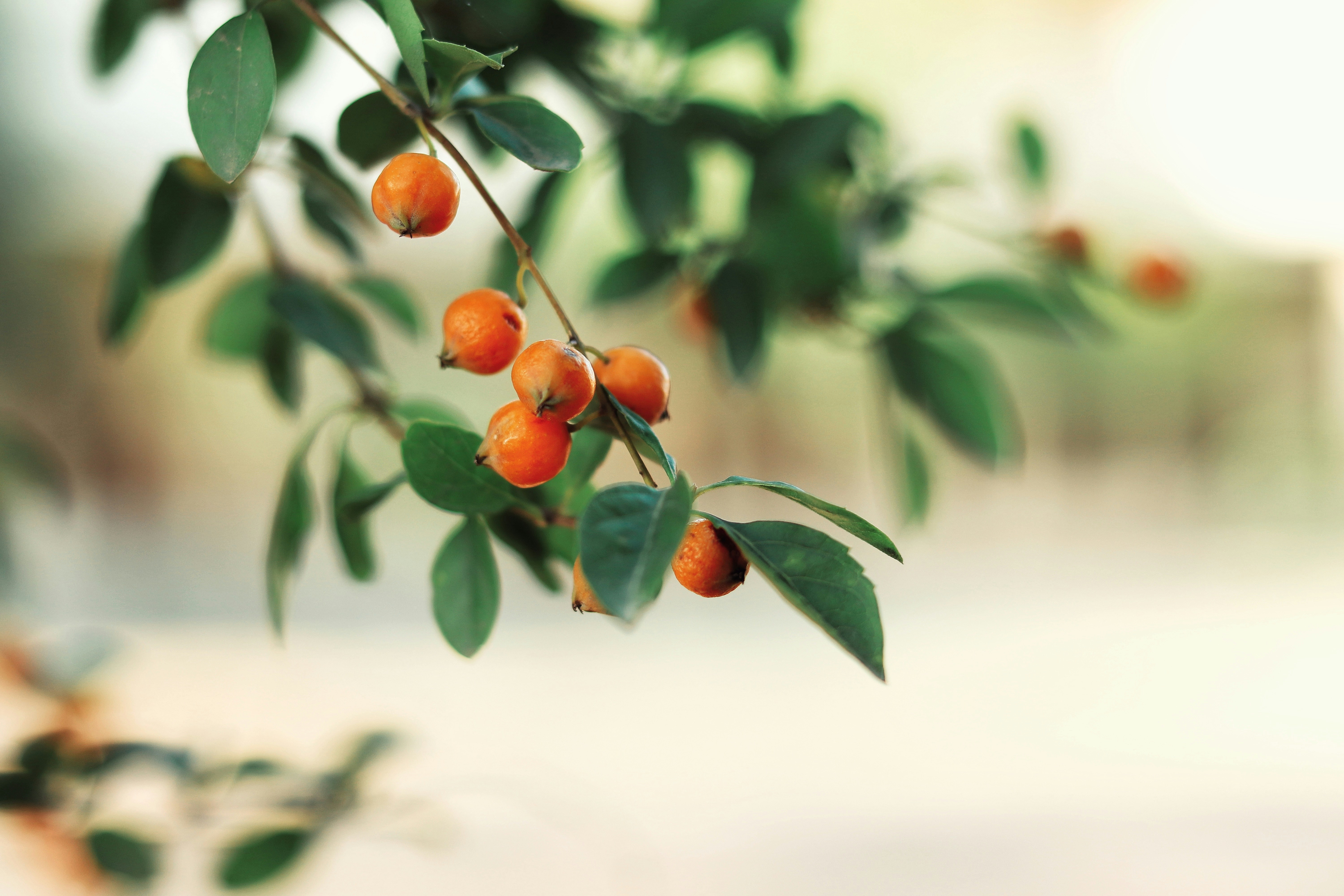 Photo by countingframez