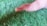 A bare foot with a bandage on the big toe is positioned on lush green grass. The grass appears evenly cut and vibrant, while the skin tone of the foot contrasts with the greenery.