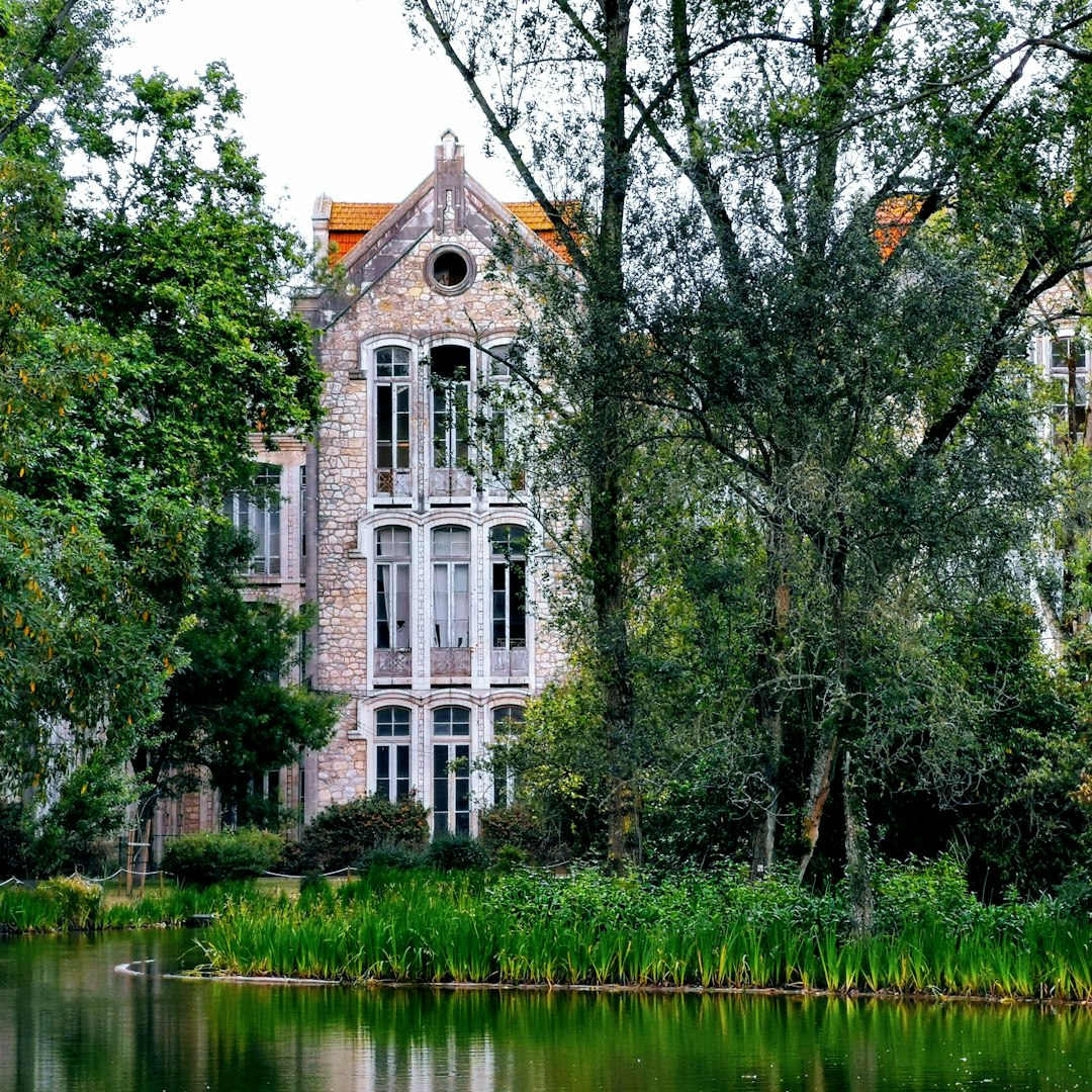 Waterway photo spot Dom Carlos I Park Tomar