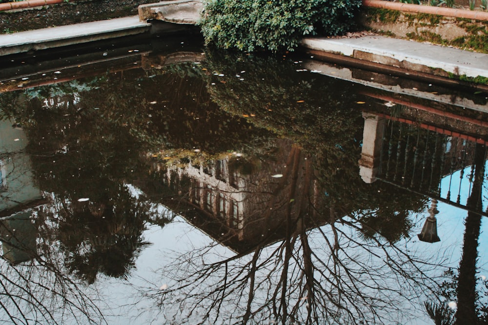 water reflection of brown and black building