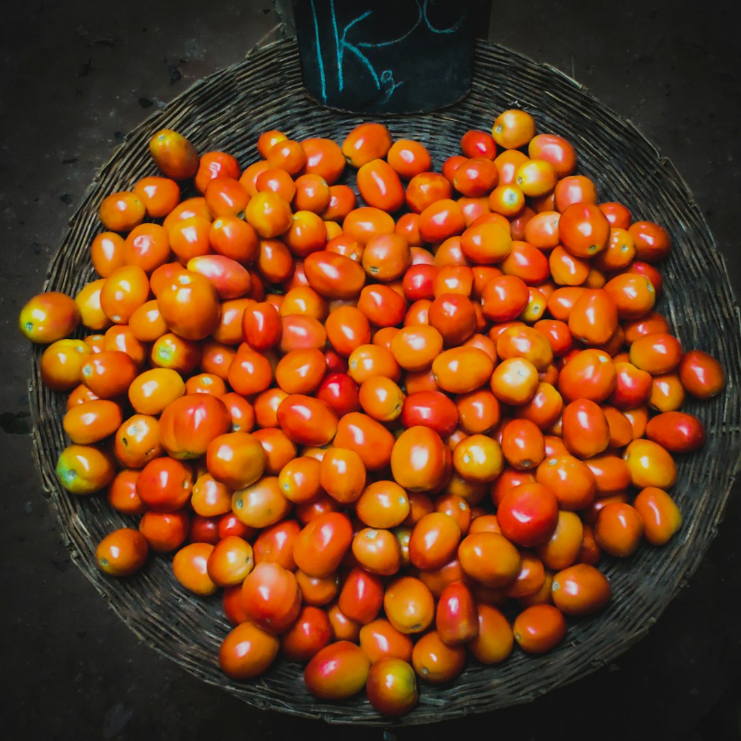 orange and red tomatoes on basket