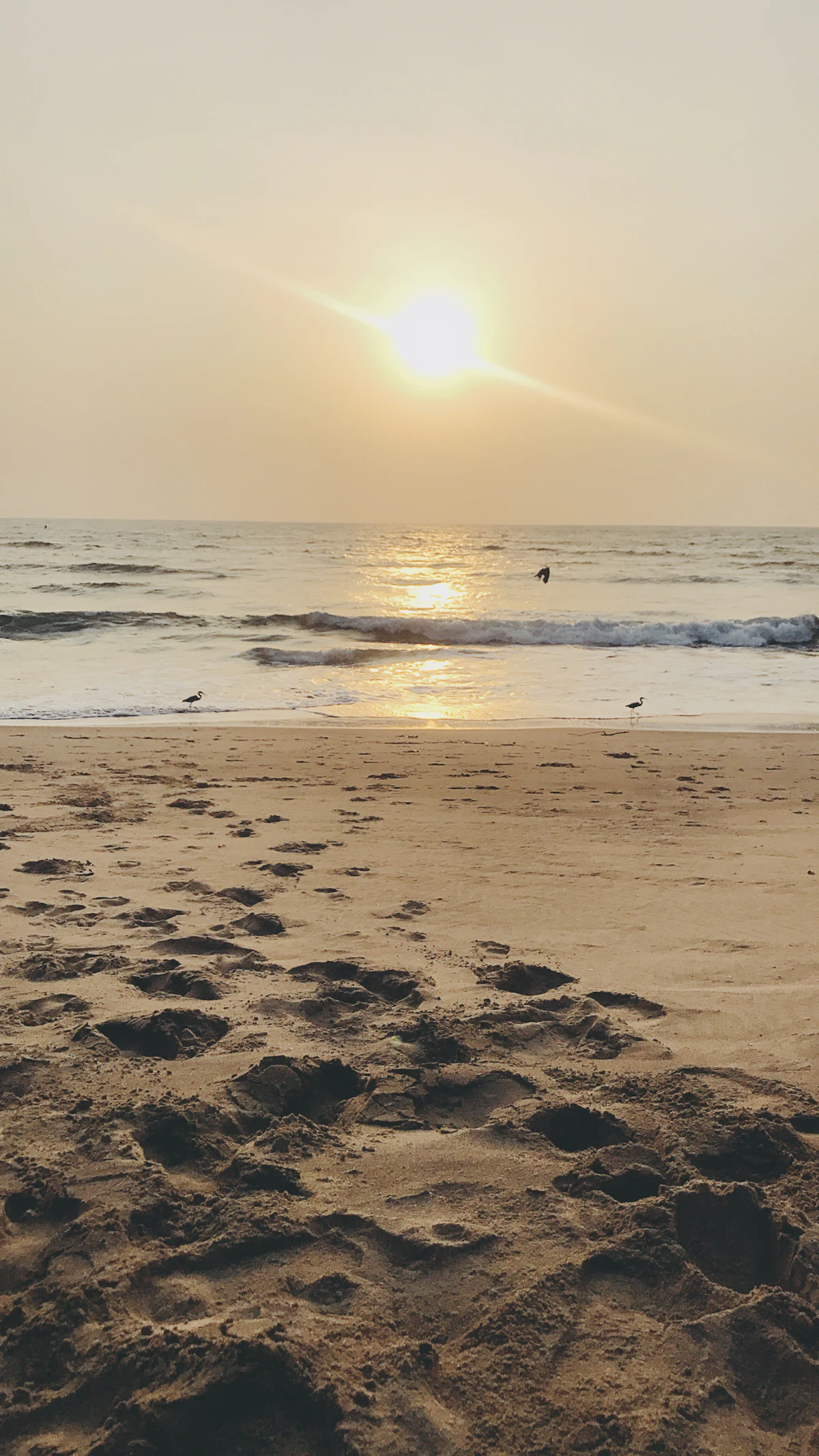 Goa — domestic getaways