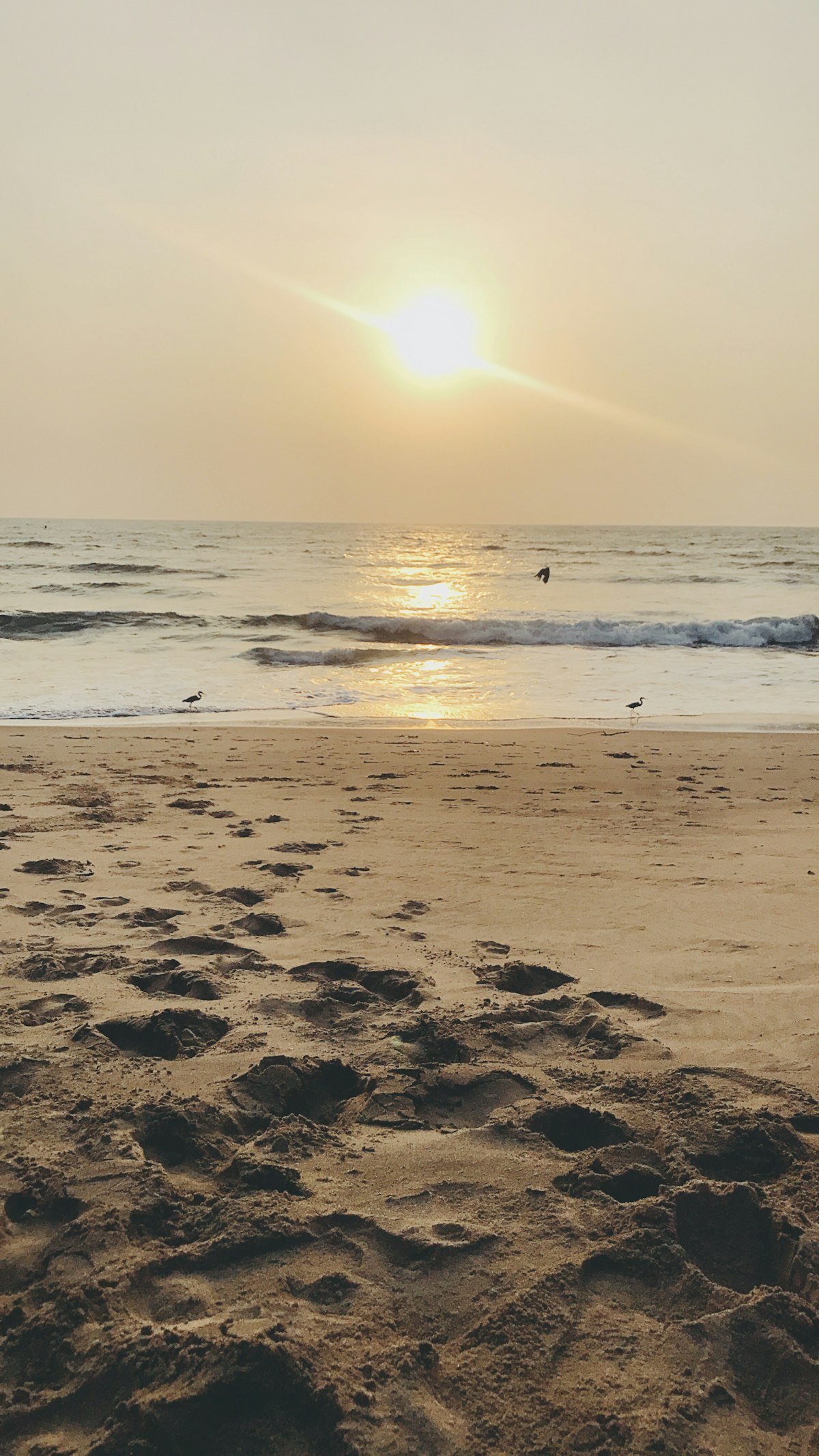 Goa September — Querim beach with lush green vegetation as the monsoon begins to ease