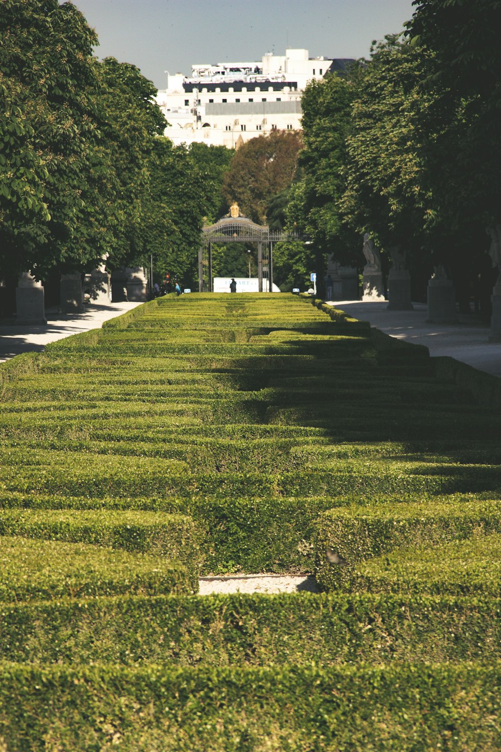 green open field viewing white concrete building