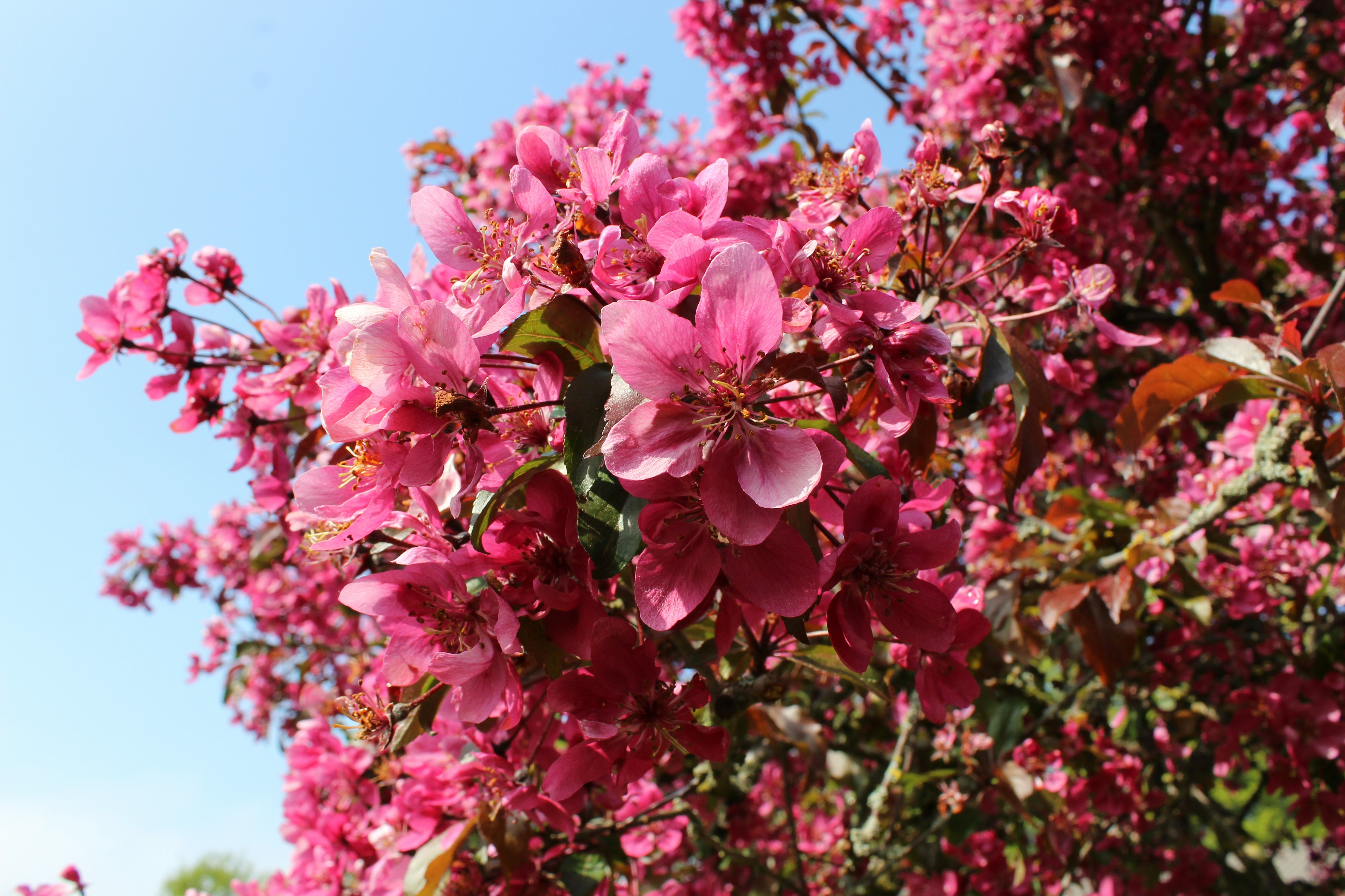 Photo by popedaniela94