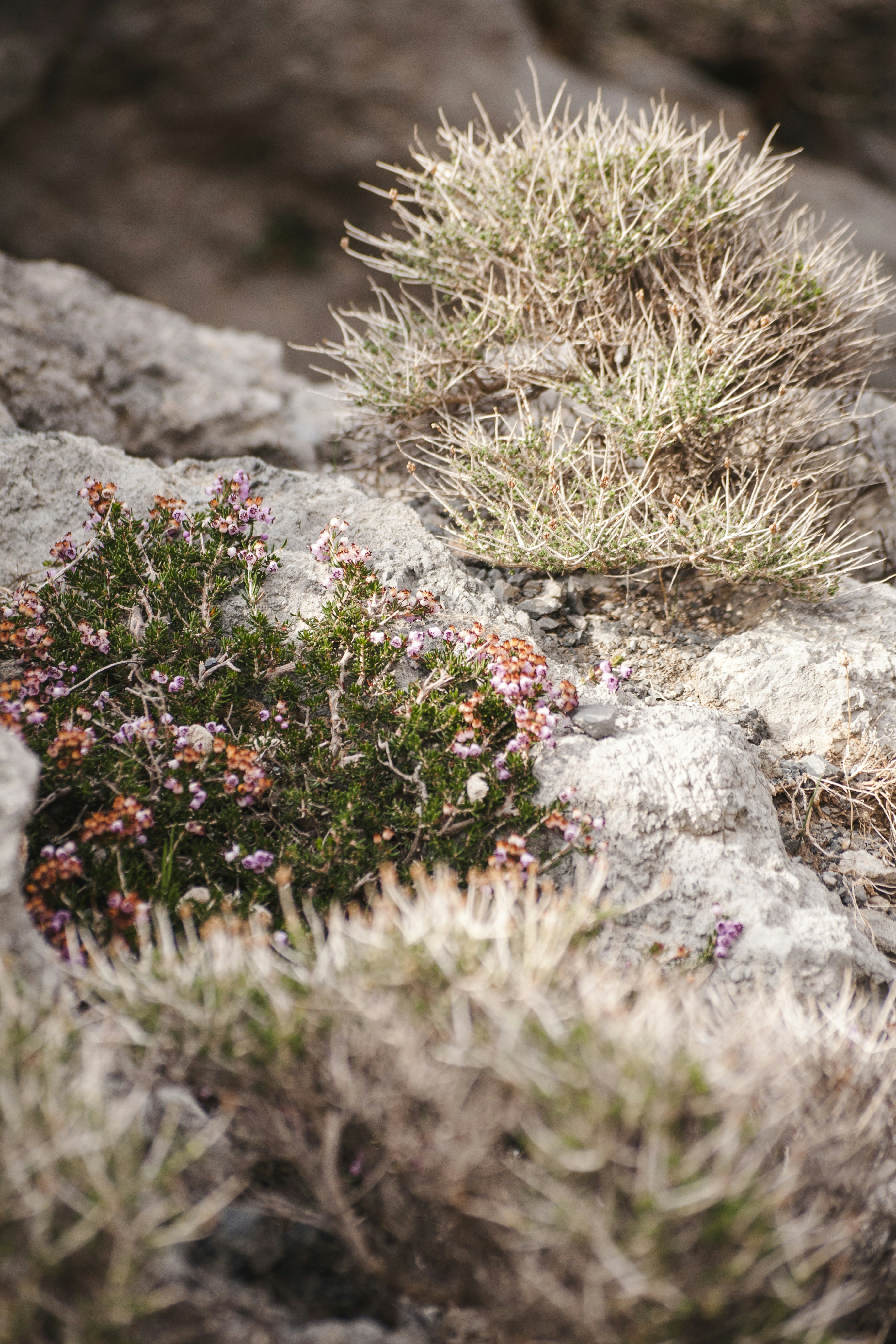 Photo by yuli_superson