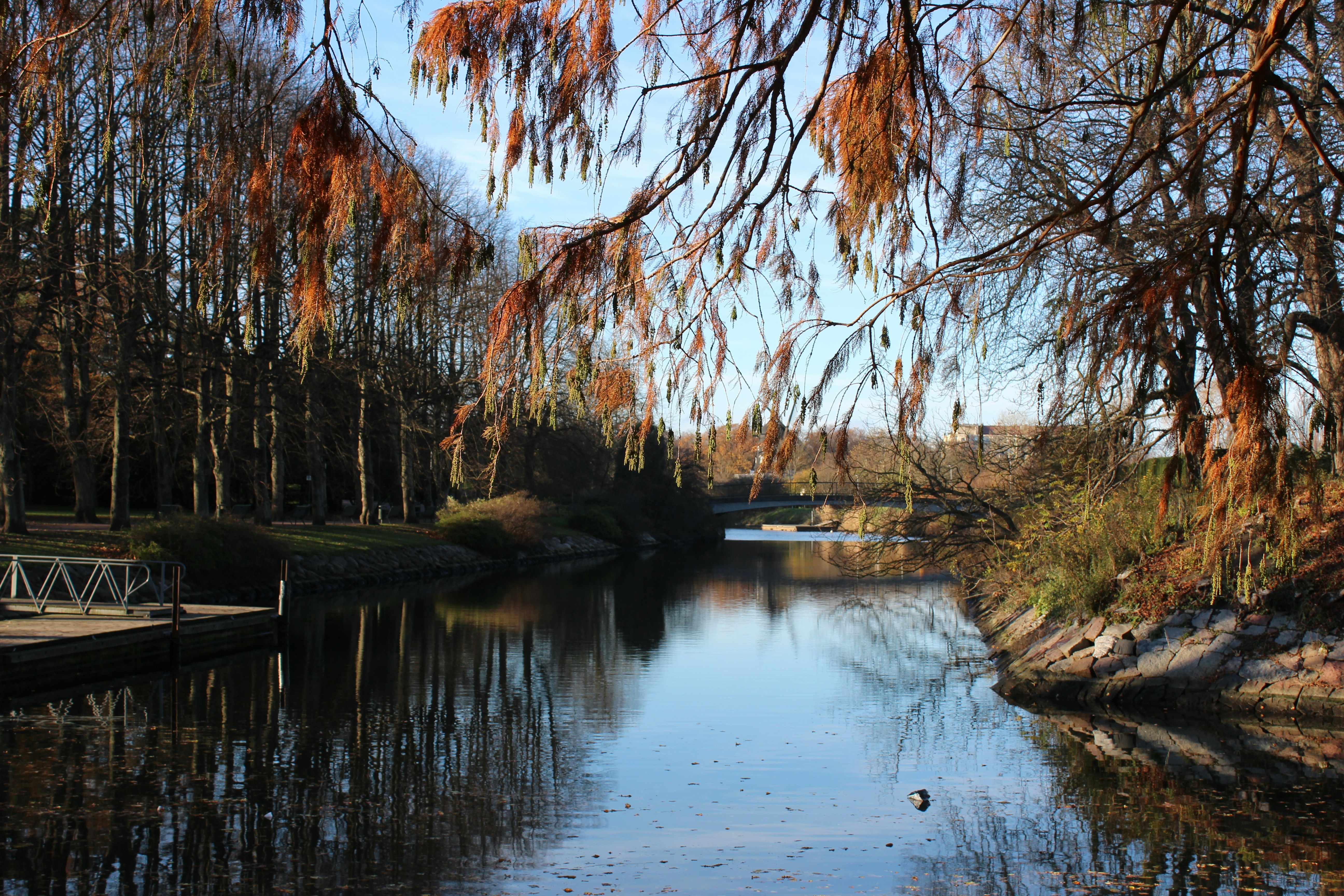 Photo by popedaniela94