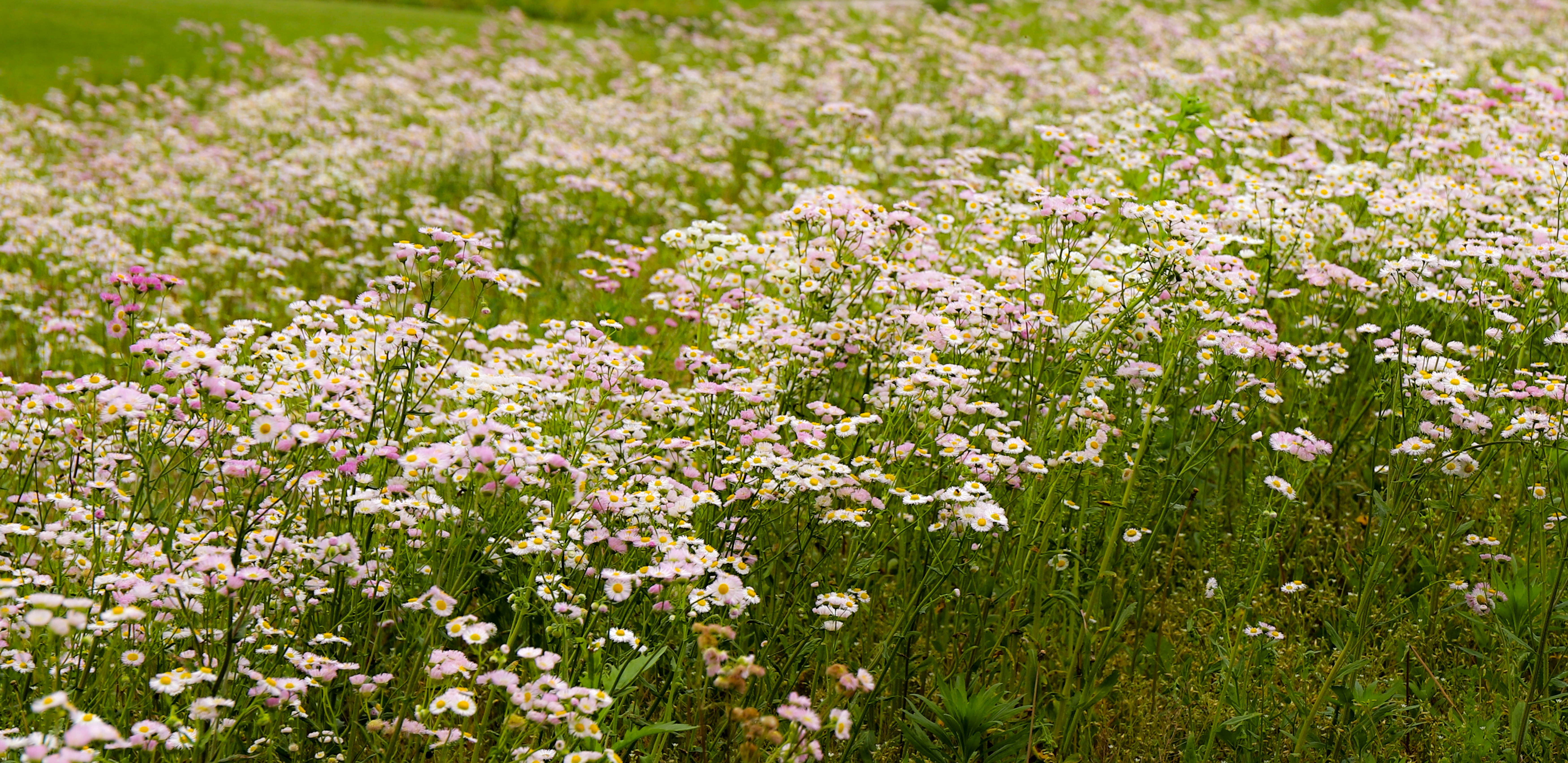 Photo by michaelbweidner