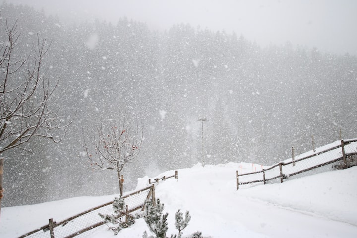 A School Children’s Blizzard