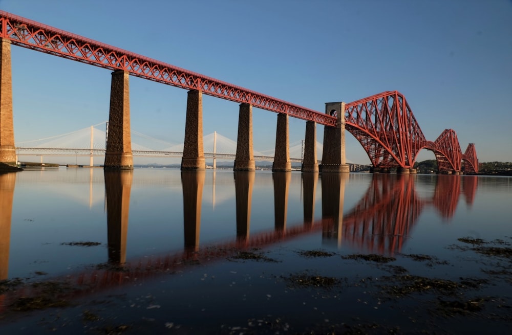 reflection photography of red cable bridge