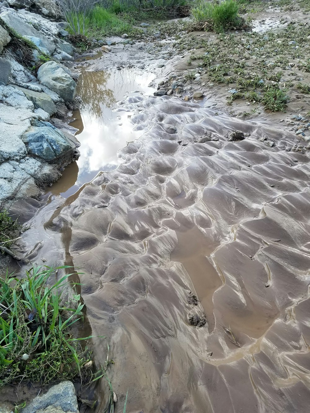 river and rocks near grasses