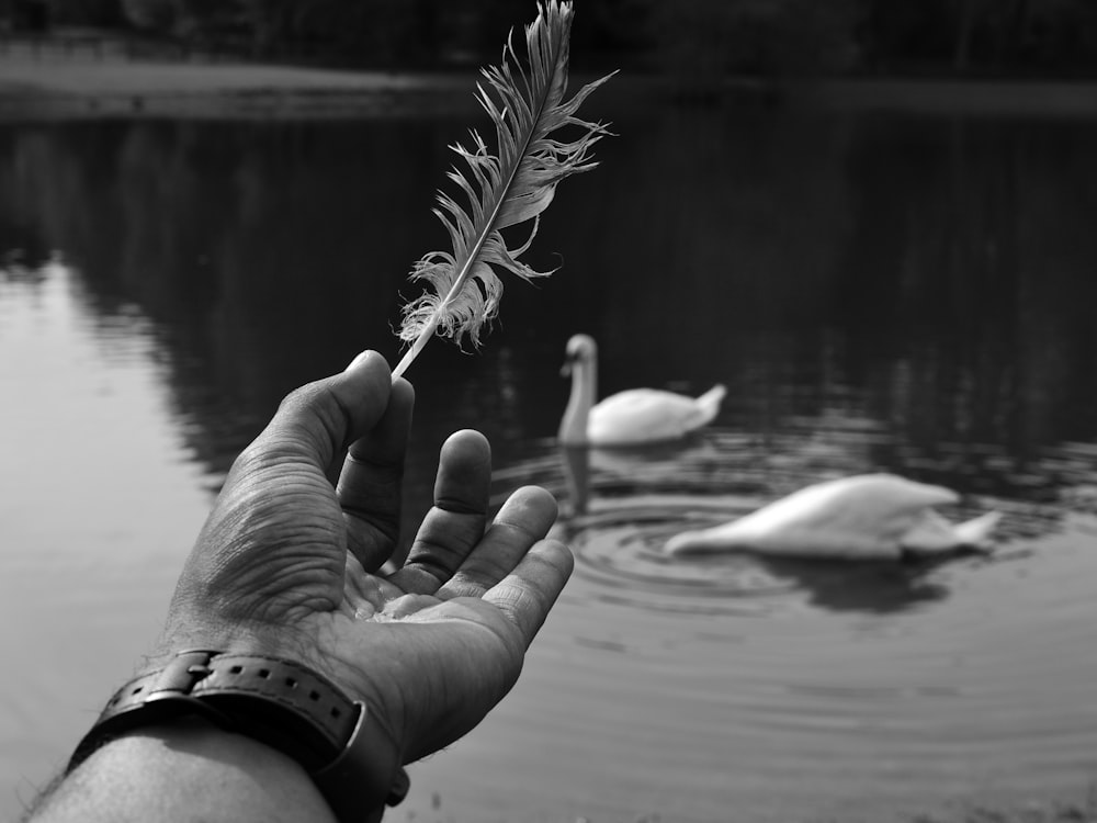 grayscale photography of person holding feather