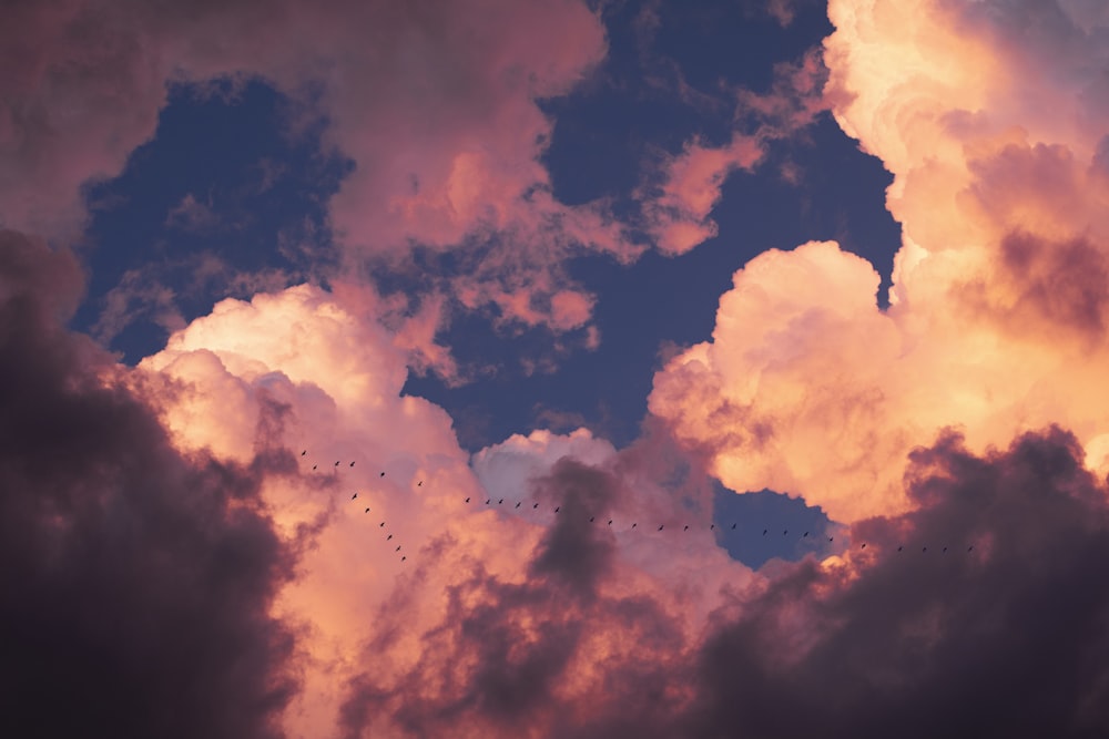 500 Pink Sky Pictures Download Free Images On Unsplash