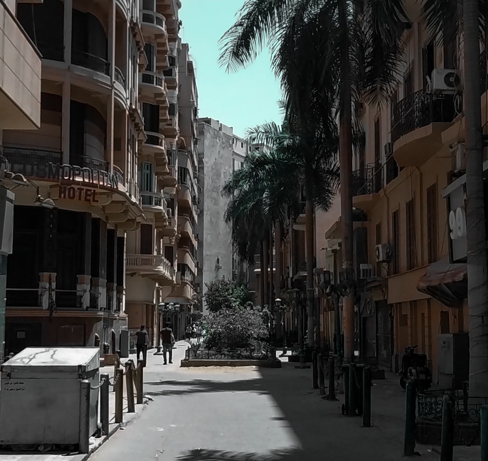 a city street lined with tall buildings and palm trees