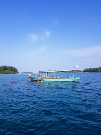 people swimming near boat
