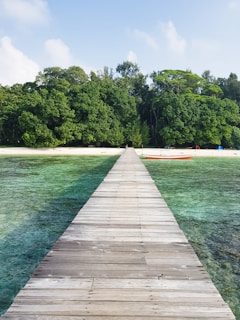 brown wooden dock on island