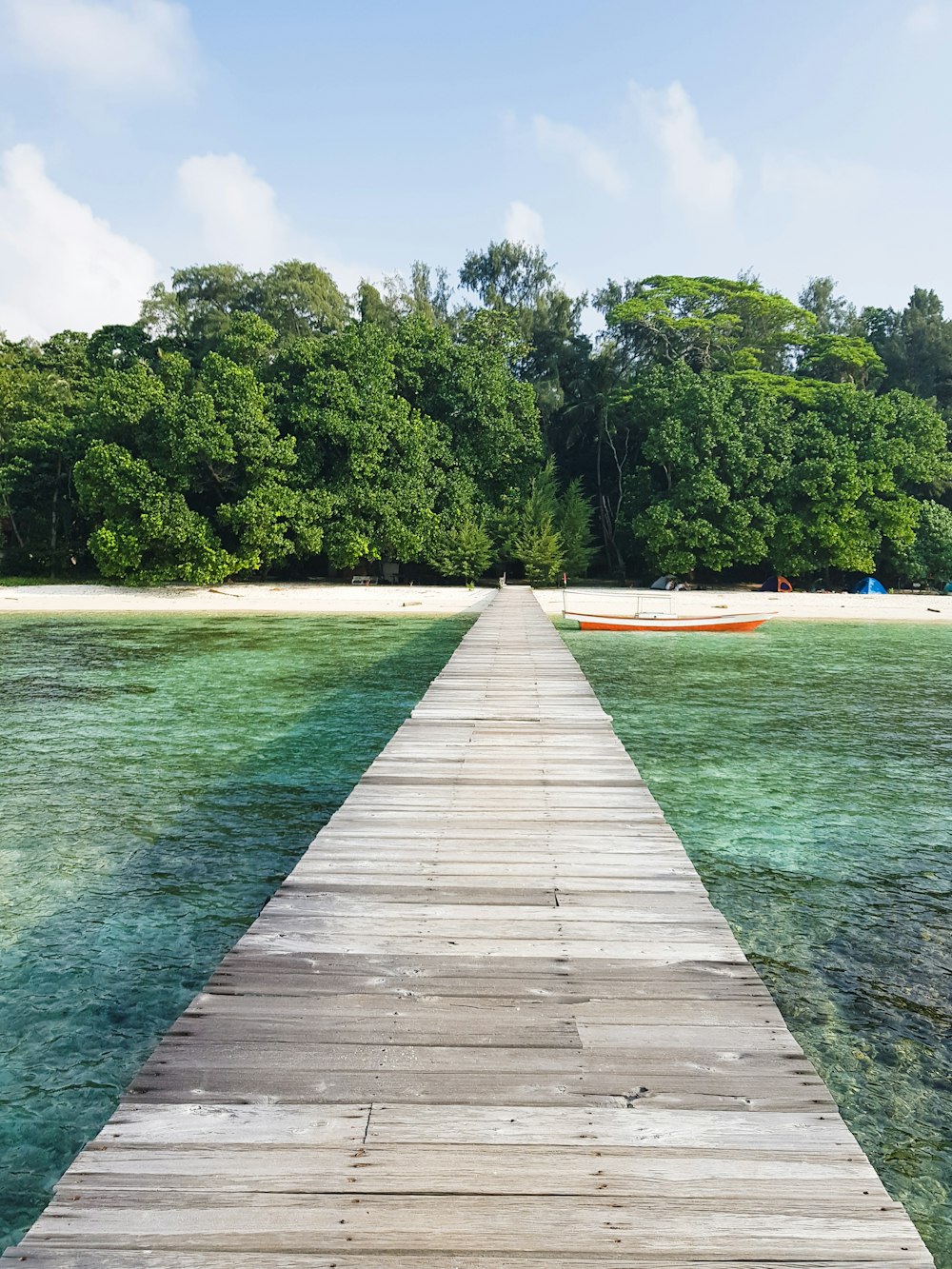 brown wooden dock on island