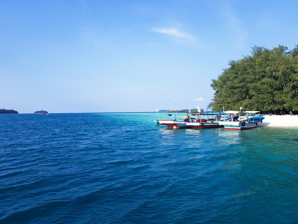 white and blue boats on calm body of water near trees