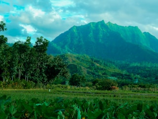 green mountain