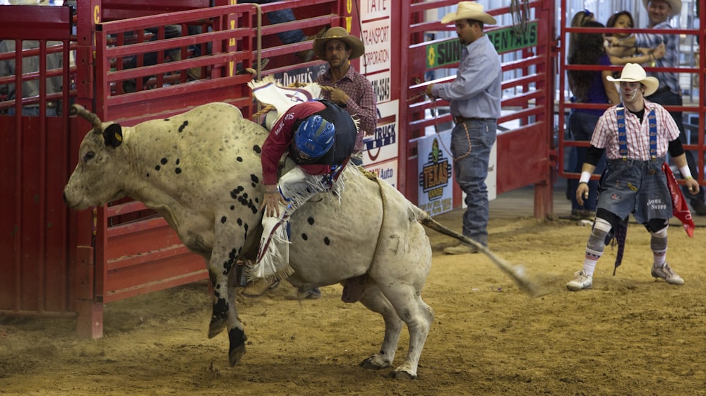 Mann auf Stier beim Rodeo