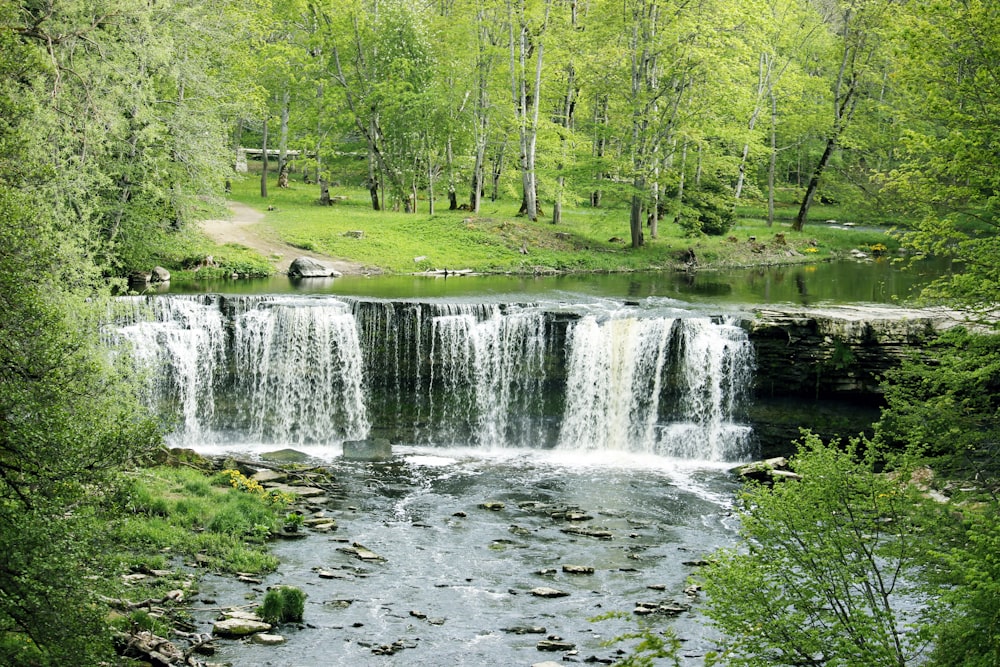 waterfalls on forest