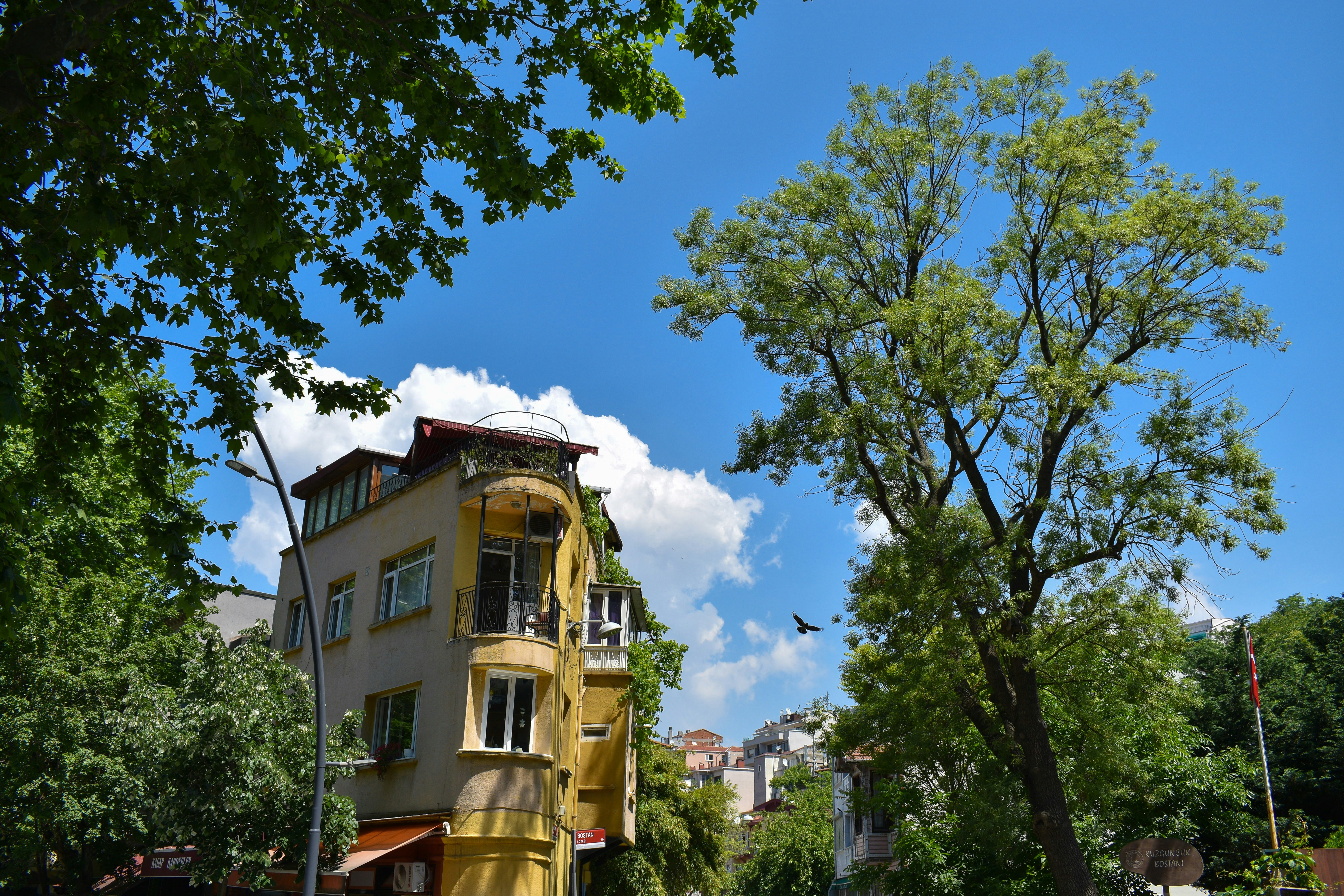 Photo by gezerbatu